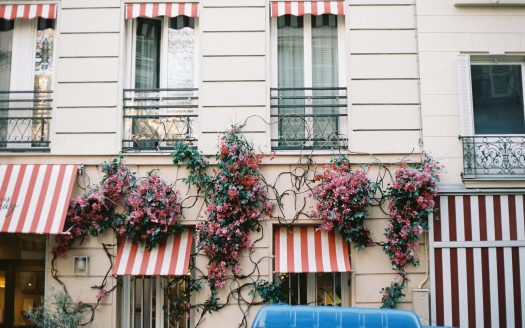 Façade parisienne avec auvents rayés et fleurs roses en pleine floraison.